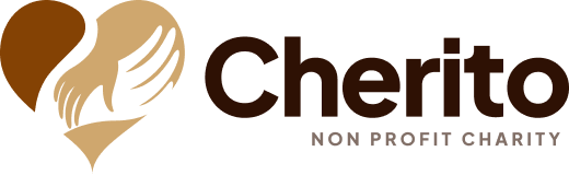 Victorian Clarion Foundation (VICLAF)